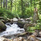 Heinrich Heine Wanderweg