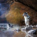 GEO Leserfoto: Die besten Leserfotos: Oktober 2019 - Bild 9