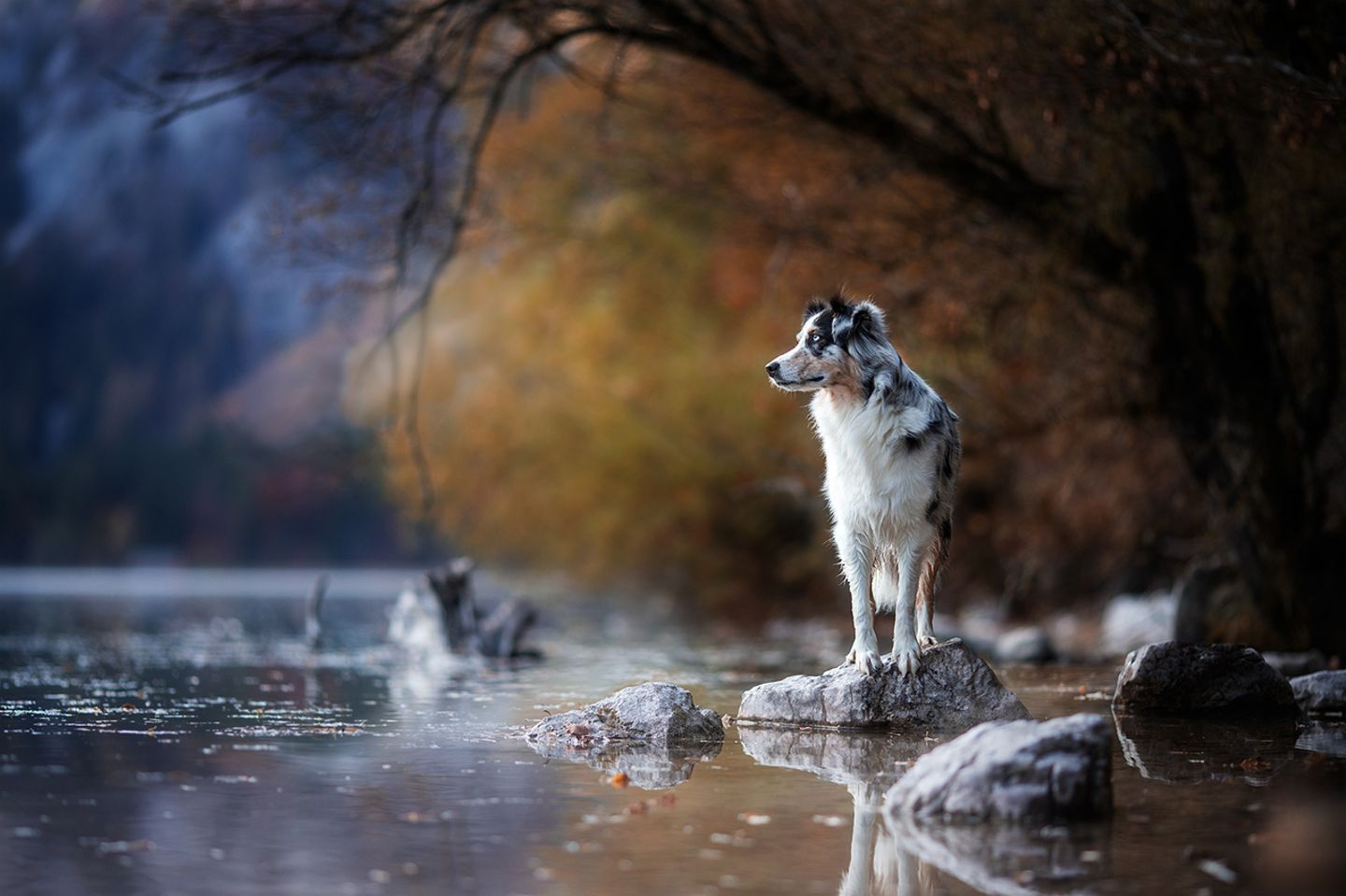GEO Leserfoto: Die besten Leserfotos: Oktober 2019 - Bild 9
