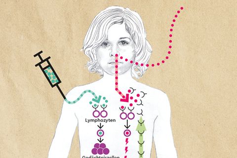 Medizin: Wie eine Impfung unseren Körper schützt