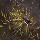 Ignacio Medem Seghers  – Italien