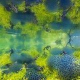 Manuel Plaickner– Italien