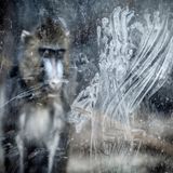 Miguel Ángel Rubio Robles  – Spanien