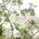 Carlos Pérez Naval  – Spanien