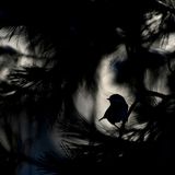 Patrick Moser – Schweiz