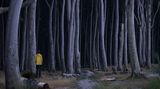 Der Gespensterwald