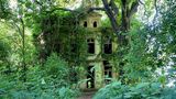 Die Horrorvilla