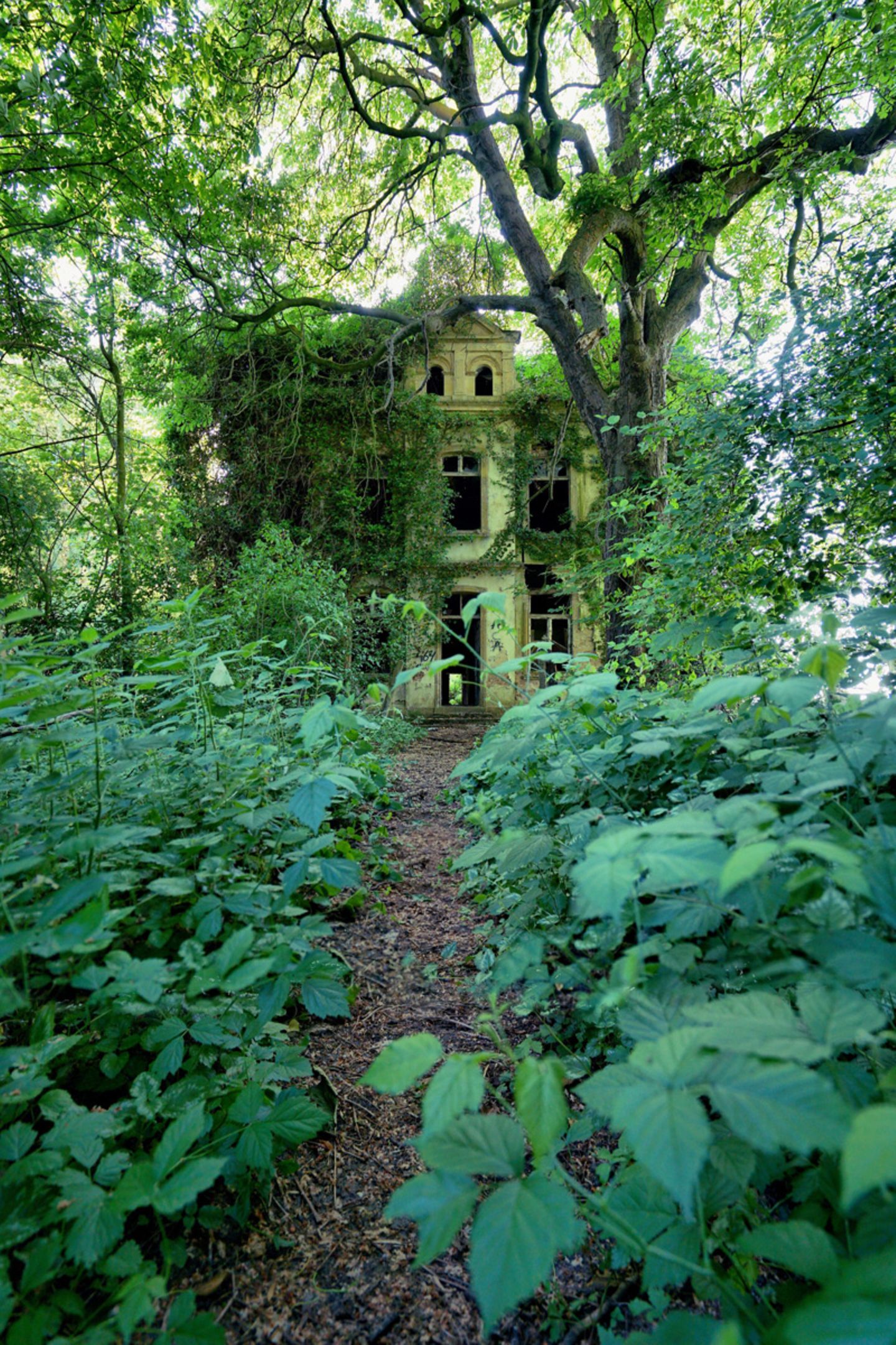 Die Horrorvilla Die Horrorvilla
