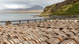 Islay