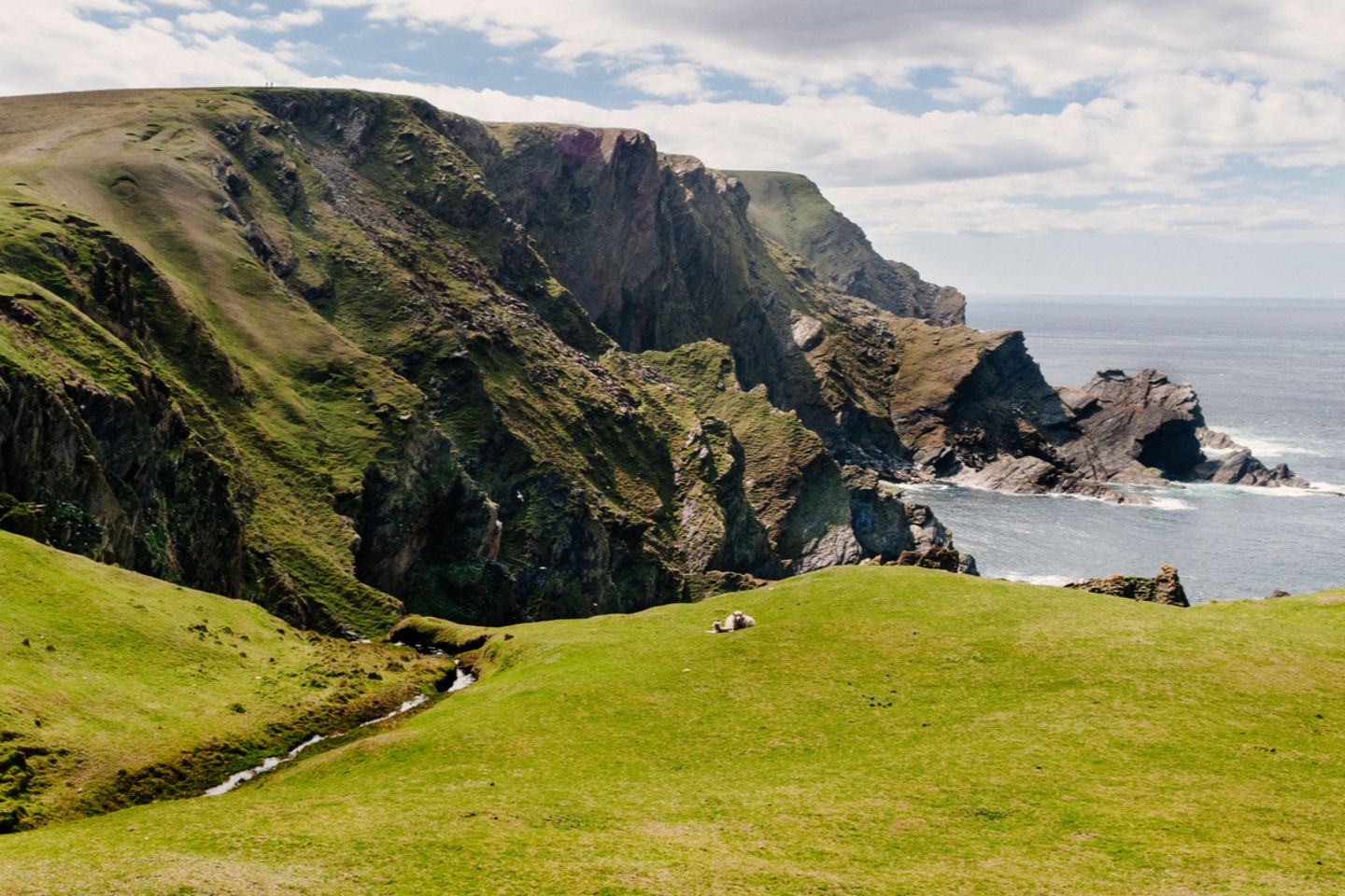 Shetlandinseln: Die raue Naturschönheit Hermaness Nature Reserve, Unst Isle, Shetland Islands