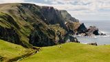 Hermaness Nature Reserve, Unst Isle, Shetland Islands