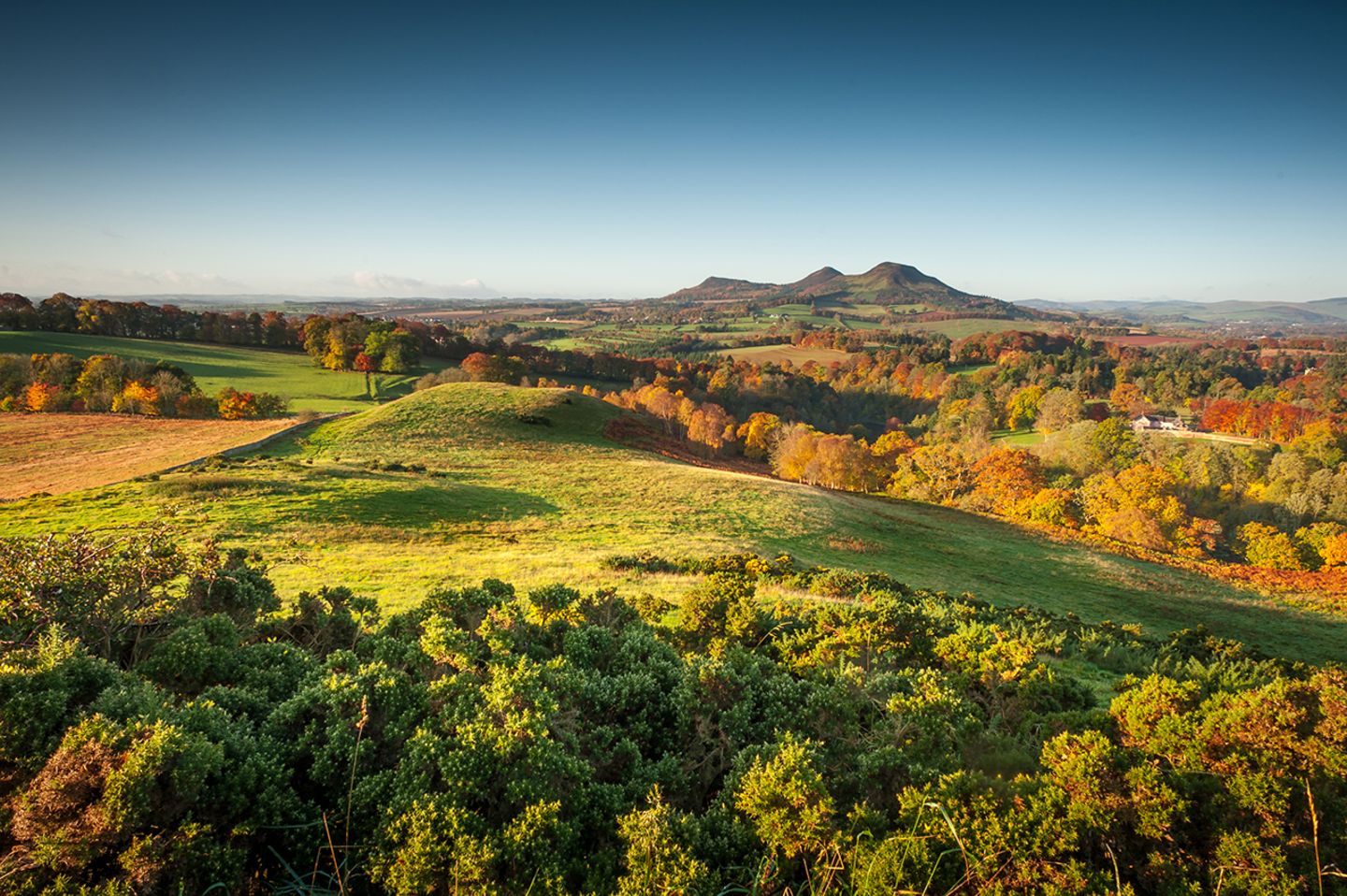 Scottish Borders