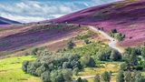 Cairngorms National Park, Schottland