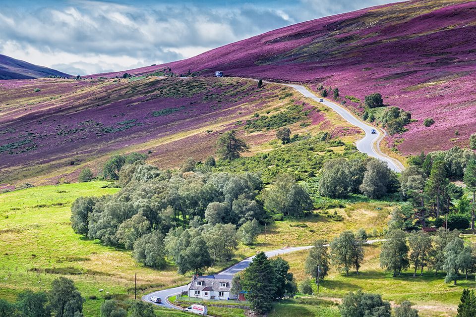 Cairngorms National Park, Schottland 1.5006