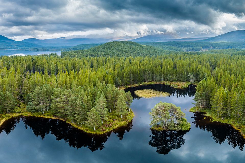 Cairngorms National Park [GEO]