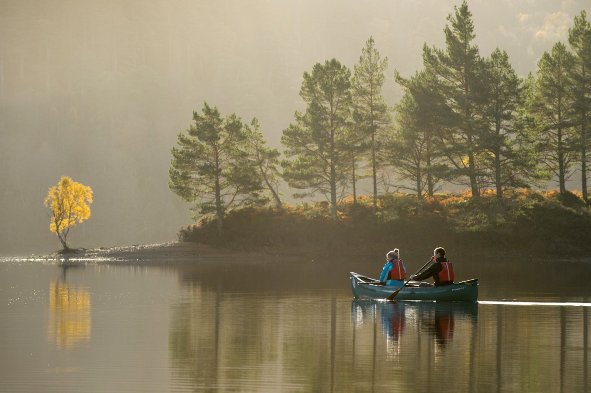 Glen Affric - wo Schottlands ursprüngliche Natur überlebt