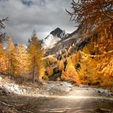 Indian Summer im Pfossental