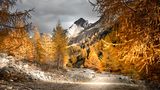 Indian Summer im Pfossental