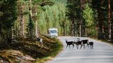 Norwegen
