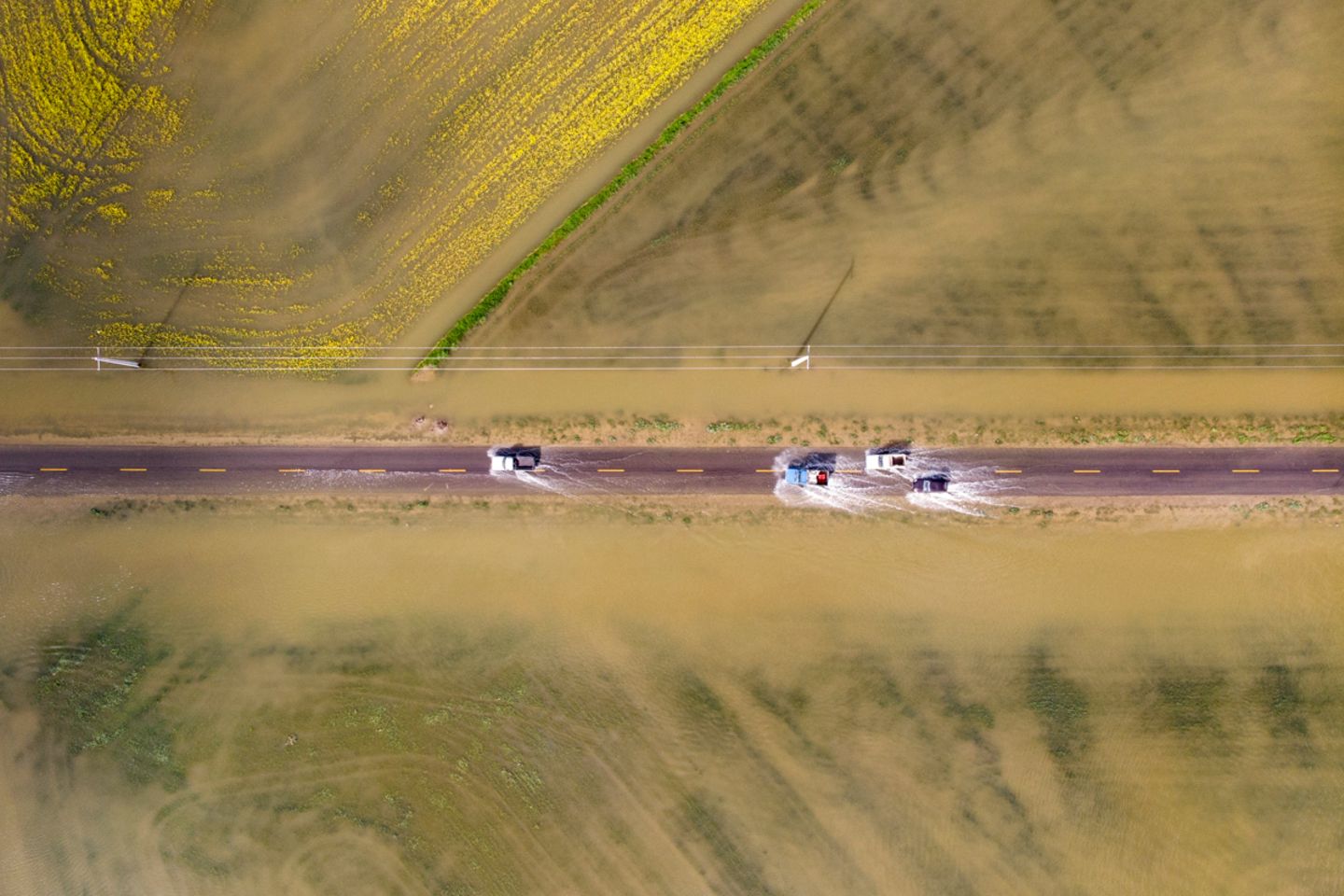 mohammad hossein moheimany/Weather Photographer of the Year 2019