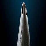 Stachel des Gelben Mittelmeerskorpions