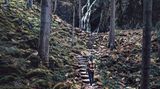 Burgbachwasserfall, Schwarzwald