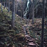 Burgbachwasserfall, Schwarzwald