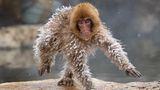 Roie Galitz/The Comedy Wildlife Photography Awards 2019