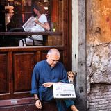 Animals von Steve McCurry