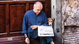 Animals von Steve McCurry