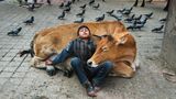 Animals von Steve McCurry