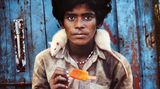 Animals von Steve McCurry