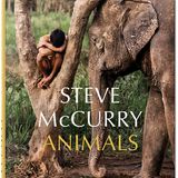 Animals von Steve McCurry
