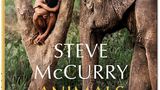 Animals von Steve McCurry