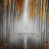 David Frutos Egea / NPOTY 2019