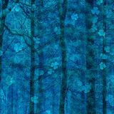 Simone Baumeister / NPOTY 2019