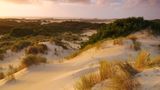 Henty Dunes
