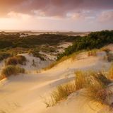 Henty Dunes