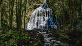 Nelson Falls