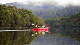 Pieman River