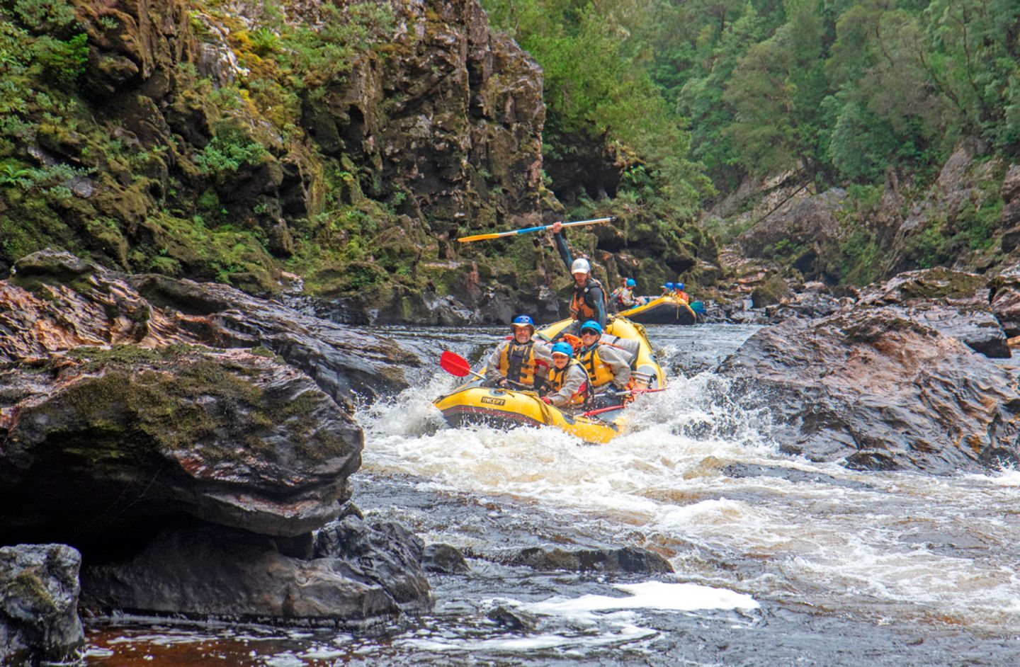 Rafting-Touren auf dem Franklin River Rafting - Franklin River