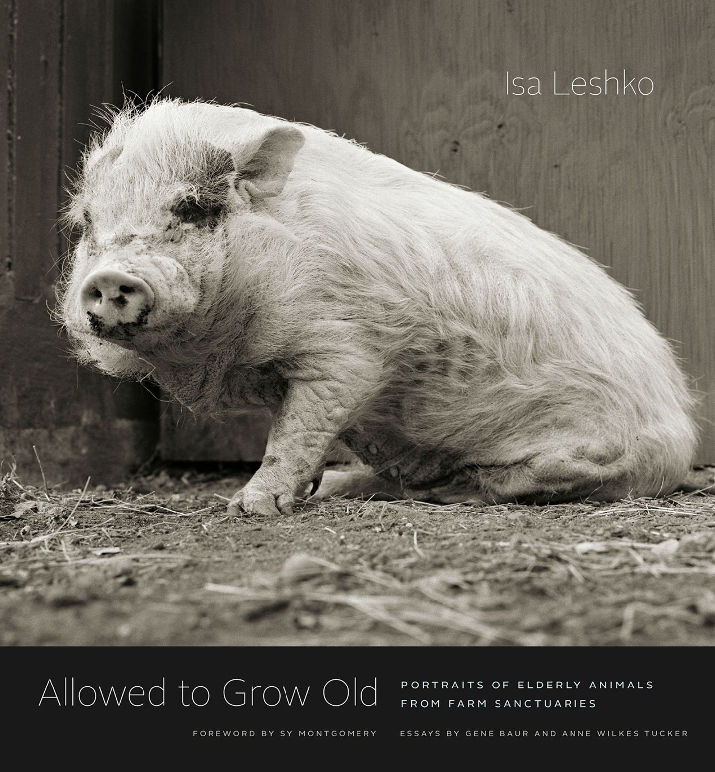 Allowed To Grow Old - Isa Leshko