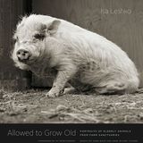 Allowed To Grow Old - Isa Leshko