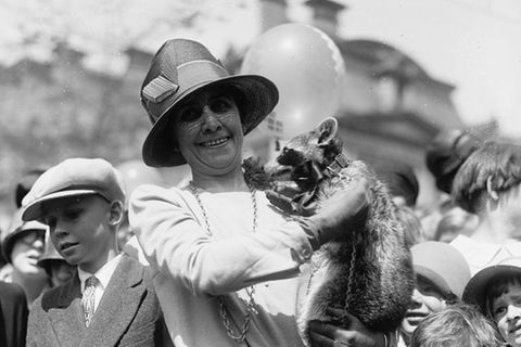 Mrs. Coolidge und der Waschbär Rebecca