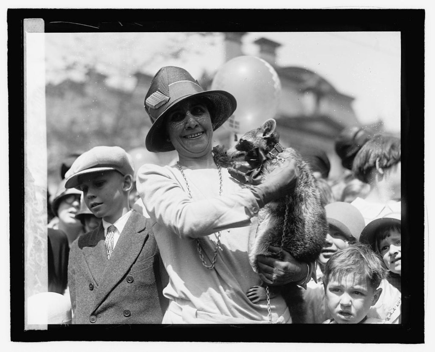 Mrs. Coolidge und der Waschbär Rebecca