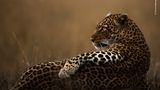 © Clement Mwangi - Wildlife Photographer of the Year
