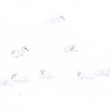 © Francis De Andres - Wildlife Photographer of the Year