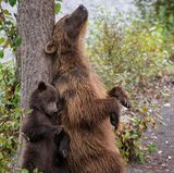 © Marion Volborn - Wildlife Photographer of the Year