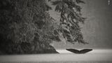 © Jake Davis / Wildlife Photographer of the Year