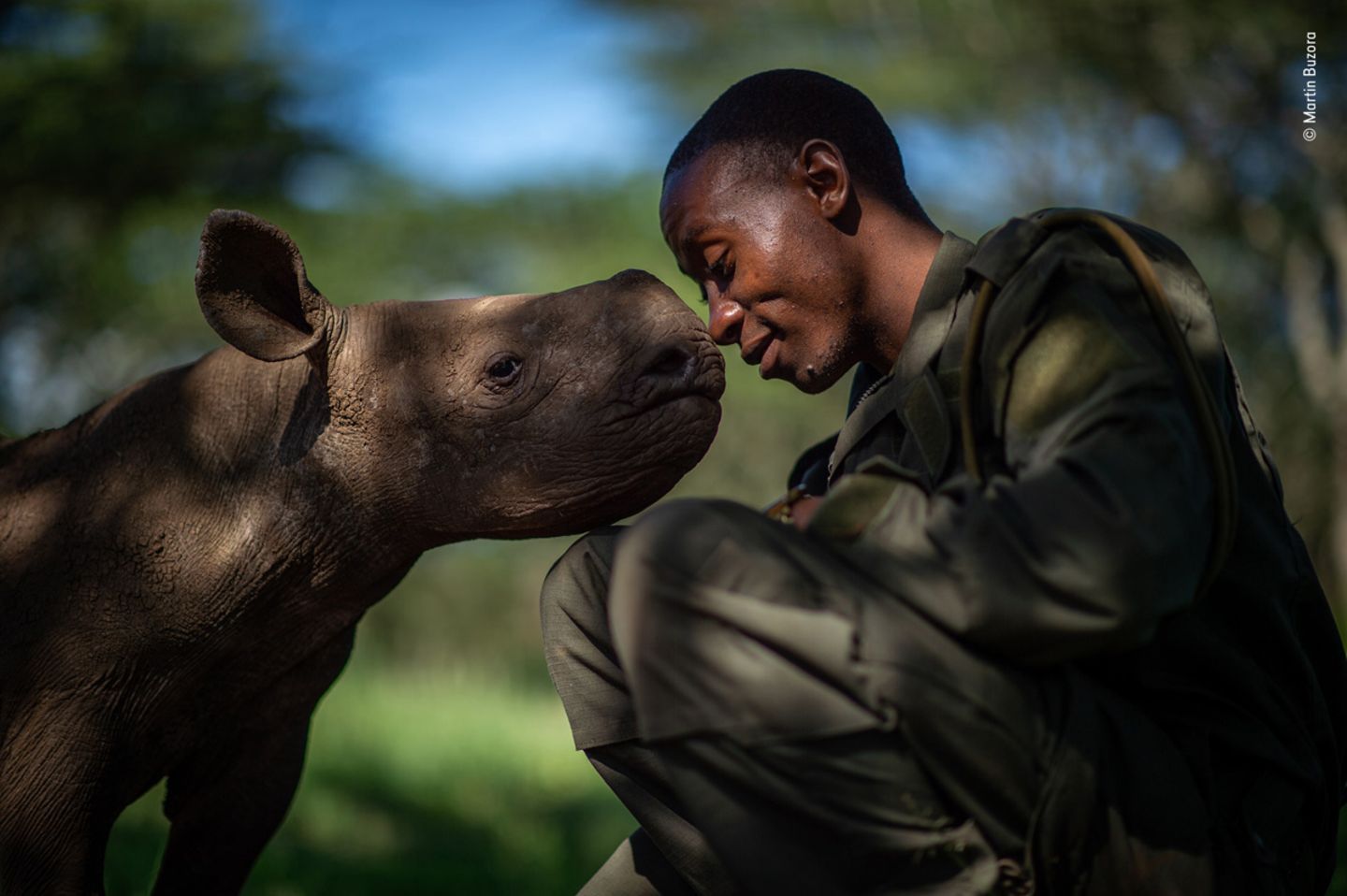 © Martin Buzora / Wildlife Photographer of the Year